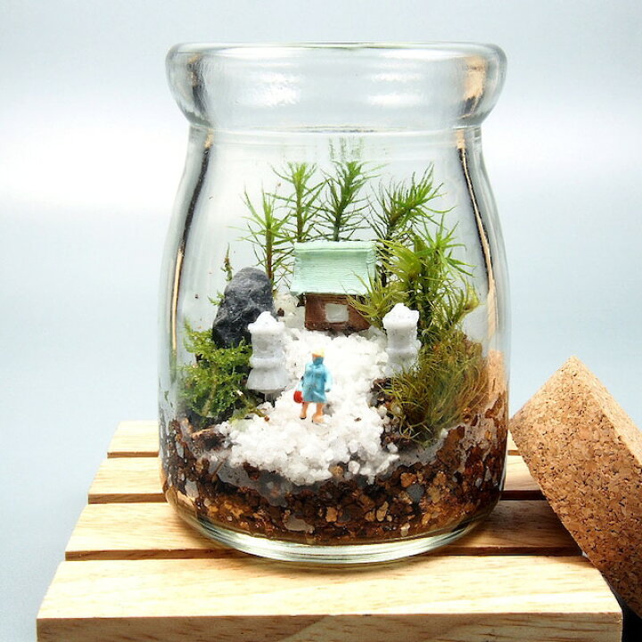 楽天市場】苔寺コルク付きビン テラリウム 手作りキット 一式 観葉植物 おしゃれ ミニ テラリウム キット コケリウム 苔 コケ 苔テラリウム 苔リウム アクアリウム アクアテラリウム 園芸 ハイド ガーデニング グリーン インテリア 緑 苔盆栽 父の日 敬老の日 : アジアン ... 楽天市場】苔寺コルク付きビン テラリウム 手作りキット 一式 観葉植物 おしゃれ ミニ テラリウム キット コケリウム 苔 コケ 苔テラリウム 苔リウム アクアリウム アクアテラリウム 園芸 ハイド ガーデニング グリーン インテリア 緑 苔盆栽 父の日 敬老の日 : アジアン ...