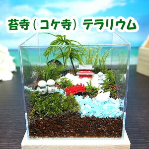 ۃeE ێ L[u^ Lbg ꎮ REm}lOT ϗtA  ~j eE Lbg RPE  RP ۃeE ۃE ANAE ANAe