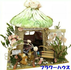 r[̎h[nEXLbg X̂Lbg / t[nEX r[ h[ nEX Lbg ~j`AnEX ~j`A h[ nEX r[h[nEXLbg