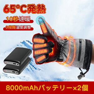 電熱グローブ バイク ヒーターグローブ 電熱手袋 冬用 8000mAhバッテリー usb充電式 スマホ操作 高機能保温中