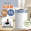 加湿器 卓上 大容量 2.5L 超音波式 おしゃれ 加湿器 スチーム式 空気清浄機 4段階調節 卓上加湿器 オフィス 湿度設定 …
