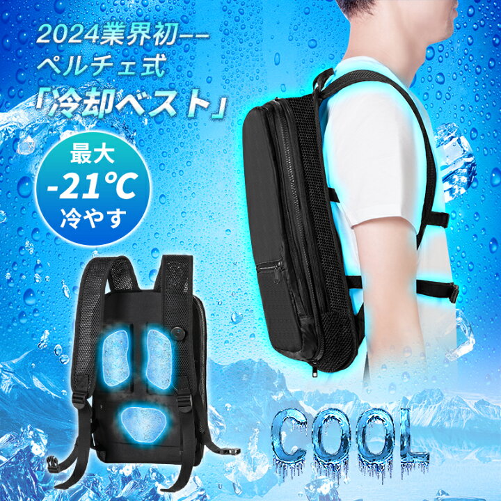 楽天市場】ペルチェベスト 冷却ベスト 冷感ベスト 30000mAh PD対応  