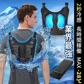 ペルチェベスト 冷却ベスト 空調作業服 10000mAh 大容量バッテリー付き 瞬間強力冷却 半導体冷却 瞬間体感-28℃ 2つ冷却プレート 超静音 肌寒い サイズ調節可 長時間稼働 USB給電 簡単取り付け 男女兼用 屋外/屋内 外仕事 熱中症対策