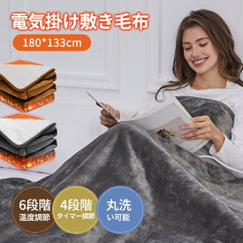 ＼在庫処分・爆安価格！3980円　電気毛布 掛け敷き兼用 180*133cm 大判サイズ 6段階温度調整 4段階タイマー フランネルとコットンウール 厚手生地 電気ブランケット ソファ ブランケット 速暖 恒温加熱 過熱保護 切り忘れ防止 省エネ 柔らか 丸洗い可 ダニ退治 抗菌防臭