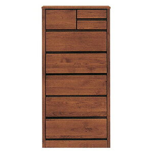 nC`FXg 60cm 6i X`FXg i rO[ A_[C k { o ؐ nC^Cv