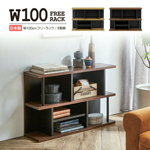幅100cm フリーラック 日本製 国内製造 オープンラック キャビネット リビングボード サイドボード 木製 リビング収納 収納棚 2段 スチール ロータイプ 完成品 間仕切り おしゃれ シンプル モ