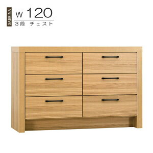 i 120cm 3i [`FXg ؐ rO[ Ƌ m^X nC^Cv _ oXCh[t 