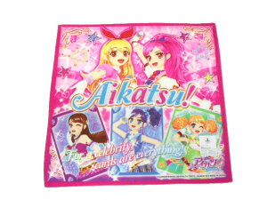 ACJcIAChJchEnJ`/ʉEʊw̕K{ACe/LN^[nJ`/vgnJ`