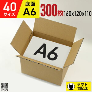 _{[ i{[ 40TCY A6 300 (160x120x110) RSL _{[ z40 yVW ^  ʔ    [ z _{[ {X ŋz