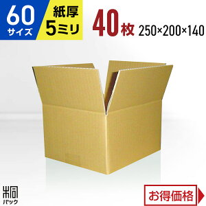 ダンボール 段ボール 60サイズ 40枚 (無地 5mm厚 250x200x140) 段ボール ダンボール箱 60サイズ 収納 梱包 宅配 60 通販 厚手 丈夫 小さい 小型 小物 発送 引越し 引っ越し 引越ダンボール 激安 段ボー