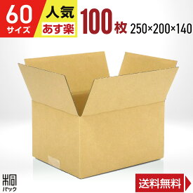ダンボール 段ボール 60サイズ 100枚 (無地 250x200x140) ダンボール箱 段ボール箱 60サイズ 通販 梱包 宅配 60 小型 小物 発送 メルカリ発送用 オークション フリマアプリ 梱包材 収納 ケース 最強翌日配送