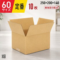 楽天市場】ダンボール 60サイズ 250 250 100の通販