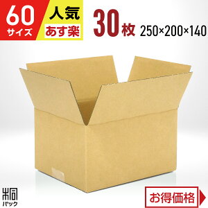 _{[ i{[ 60TCY 30 (n 250x200x140) _{[ i{[ 60TCY ʔ  z 60 ^   Jp I[NV t}Av  [ P[X ŋ