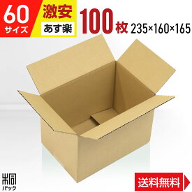 激安 ダンボール 段ボール 60サイズ A5 100枚 (無地 235x160x165) ダンボール箱 段ボール箱 60サイズ A5 小さい 小型 広告なし 梱包 宅配 60 通販 軽い 軽量 国産 段ボール 激安 最強翌日配送