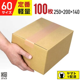 ダンボール 段ボール 60サイズ 100枚 (無地 250x200x140) ダンボール 60 小さい 小さいサイズ 段ボール 激安 軽量 引越し 引っ越し 通販 梱包 宅配60 発送 収納 段ボール箱 最安 最強翌日配送