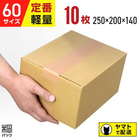 ダンボール 段ボール 60サイズ 10枚 (無地 250x200x140) ダンボール 60 小さい 小さいサイズ 段ボール 激安 軽量 引越し 引っ越し 通販 梱包 宅配60 発送 収納 段ボール箱 最安 最強翌日配送