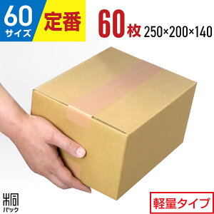 _{[ i{[ 60TCY 60 (n 250x200x140) _{[ 60  TCY i{[  y z z ʔ  z60 ^  [ i{[ ň