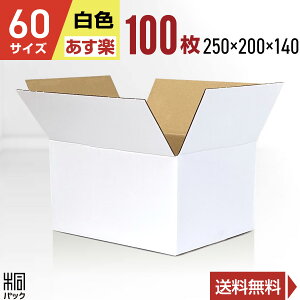 白 ダンボール 段ボール 60サイズ 100枚 (無地 250x200x140) 段ボール ダンボール箱 60サイズ 梱包 宅配 60 きれい ギフト プレゼント 収納 通販 小物 発送 保管 用 ケース 最強翌日配送