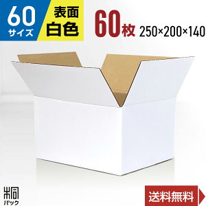 白 ダンボール 段ボール 60サイズ 60枚 (無地 250x200x140) 段ボール ダンボール箱 60サイズ 梱包 宅配 60 きれい ギフト プレゼント 収納 通販 小物 発送 保管 ケース