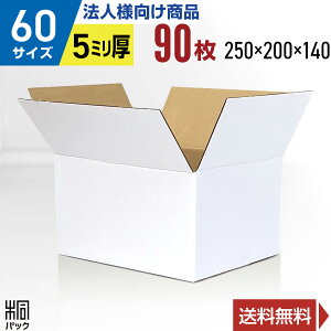 y@lz _{[ i{[ 60TCY 90 (n 250x200x140) i{[ _{[ 60TCY  z 60 ꂢ Mtg v[g [ ʔ   ۊ P[X