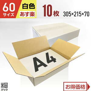  _{[ i{[ 60TCY A4 10 (n 305x215x70) i{[ _{[ 60TCY A4  z 60 ꂢ Mtg v[g [ ʔ   ۊ p P[X ŋz