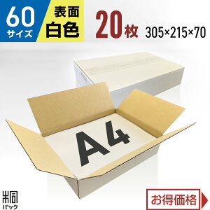  _{[ i{[ 60TCY A4 20 (n 305x215x70) i{[ _{[ 60TCY A4  z 60 ꂢ Mtg v[g [ ʔ   ۊ P[X