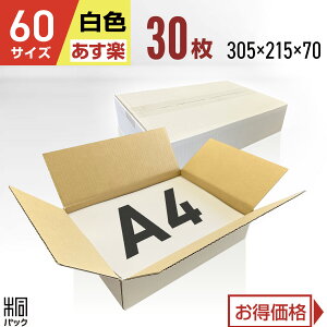  _{[ i{[ 60TCY A4 30 (n 305x215x70) i{[ _{[ 60TCY A4  z 60 ꂢ Mtg v[g [ ʔ   ۊ p P[X ŋz