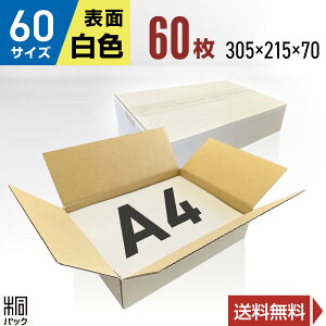  _{[ i{[ 60TCY A4 60 (n 305x215x70) i{[ _{[ 60TCY A4  z 60 ꂢ Mtg v[g [ ʔ   ۊ P[X
