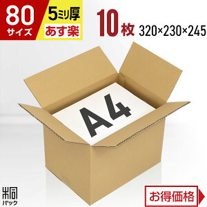 _{[ i{[ 80TCY A4 10 (5mm 320x230x245) _{[ i{[ 80TCY A4  z 80 ʔ  {bNX  [ ۊ  z z ב Pgp P[X ŋ