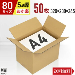 _{[ i{[ 80TCY A4 50 (5mm 320x230x245) _{[ i{[ 80TCY A4  z 80 ʔ  {bNX  [ ۊ  z z ב Pgp P[X ŋ