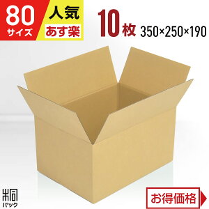 _{[ i{[ 80TCY A4 10 (350x250x190) _{[ i{[ 80TCY A4  z 80 ʔ  {bNX  [ ۊ  z z ב Pgp P[X ŋz