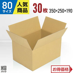 _{[ i{[ 80TCY A4 30 (350x250x190) _{[ i{[ 80TCY A4  z 80 ʔ  {bNX  [ ۊ  z z ב Pgp P[X _{[ 