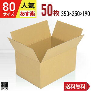 _{[ i{[ 80TCY A4 50 (350x250x190) _{[ i{[ 80TCY A4  z 80 ʔ  {bNX  [ ۊ  z z ב Pgp P[X ŋz