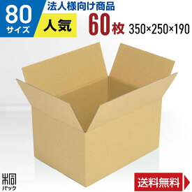 【法人特価】段ボール 箱 80サイズ A4 60枚 (3mm厚 350x250x190) 段ボール 80 A4 宅配 梱包 通販 資材 用 セット 日本製 安い A式 みかん箱 ダンボール箱 80 A4 らくらく メルカリ 便 ラクマ フリマ