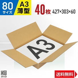 段ボール 箱 80サイズ A3 薄型 40枚 (3mm厚 427x303x60) 段ボール 80 A3 宅配 梱包 通販 資材 用 セット 日本製 安い A式 みかん箱 ダンボール箱 80 A3 らくらく メルカリ 便 ラクマ フリマ