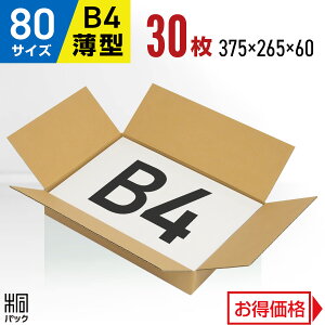 _{[ i{[ 80TCY B4 ^ 30 (375x265x60) _{[ i{[ 80TCY B4 Ap C ߗ m obO  [ ʔ  z 80 z ב _{[  i{[ 
