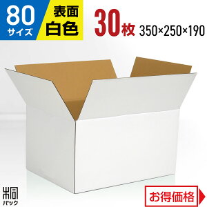  _{[ i{[ 80TCY 30 (350x250x190) _{[ i{[ 80TCY   z 80 ꂢ Mtg v[g i{[ ʔ [  P[X {bNX