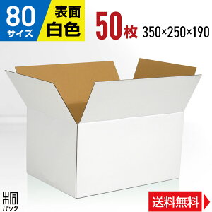  _{[ i{[ 80TCY 50 (350x250x190) _{[ i{[ 80TCY   z 80 ꂢ Mtg v[g i{[ ʔ [  P[X {bNX