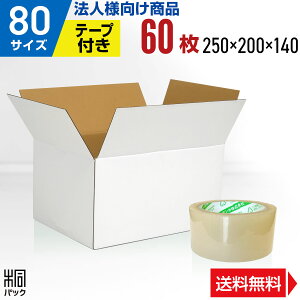 y@lz _{[ i{[ 80TCY 60 + e[v Zbg _{[ i{[ 80TCY   z 80 ꂢ Mtg v[g i{[ ʔ [  P[X