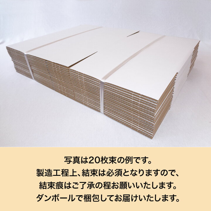 楽天市場】【エントリーでポイント10倍】【法人特価】白 ダンボール 