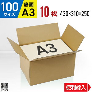 _{[ i{[ 100TCY A3 10 (ύX 430x310x250) _{[ i{[ 100TCY z zZbg  ʔ z 100 A3TCY [ ۊ _{[  i{[ 