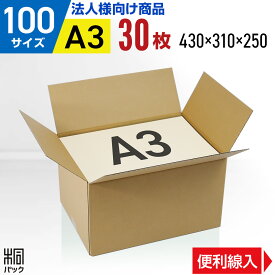 【法人特価】段ボール 箱 100サイズ A3 便利線入り 30枚 (3mm厚 430x310x250) 引越し 段ボール 引っ越し 100 A3 宅配 梱包 通販 資材 用 セット 日本製 安い A式 みかん箱 ダンボール箱 引越 100 A3 らくらく メルカリ 便 ラクマ フリマ