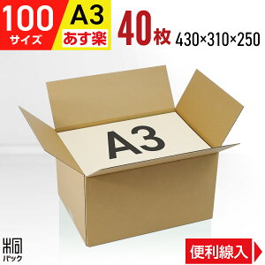 ダンボール 段ボール 100サイズ A3 40枚 (便利線入 430x310x250) ダンボール箱 段ボール箱 100サイズ 引越し 引越 引っ越しセット 通販 梱包 宅配100 A3 発送 収納 保管 高さ変更 最強翌日配送