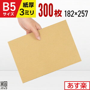 _{[ i{[ H B5 TCY 300 (182x257) _{[ B5 _{[V[g ɏՍ DIY 䎆 Wp ⋭ Ŕ Hp  z  ʔ ʔ̗p Y ŋz