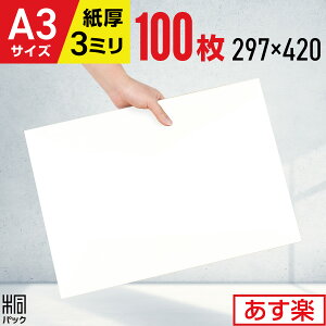  _{[ i{[ H A3 100 (297x420) _{[ A3 _{[V[g ɏՍ DIY 䎆 Wp ⋭ Ŕ Hp  z  ʔ ʔ̗p G`  CXg L