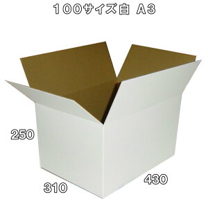  _{[ i{[ 100TCY A3 20 (֗ 430x310x250) _{[ i{[ 100TCY A3 c  z 100 ꂢ Mtg v[g i{[ ʔ [  ŋz