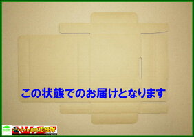 【送料無料】ゆうパケット・クリックポストA6対応ダンボール/段ボール100枚※西濃運輸での配送となります※※沖縄と離島は対象外となります※