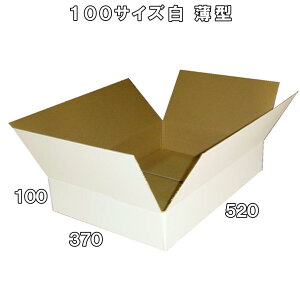 y@lz _{[ i{[ 100TCY B3 20 ^ (ύX 520x370x100) Ap C ߗ m obO ʔ  [ i{[   z 100 _{[ 100 B3