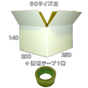  _{[ 60TCY  50 +  _{[ 60TCY A4 50 + e[v1 Zbg i{[ i{[ 60TCY  z 60 [ ʔ   p P[X ŋz