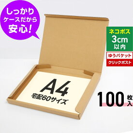ネコポス ゆうパケット クリックポスト 箱 A4 段ボール 100枚 (325x240x29) ダンボール 60サイズ 薄型 段ボール箱 A4 梱包 宅配 ゆうパケット A4 ダンボール箱 クリックポスト 丈夫 しっかりダンボール 激安 段ボール 茶